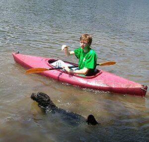 Dog swimming in Lake Anne in Reston VA
