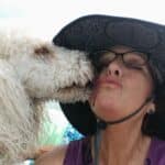 dog walker loving dog client