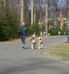 dog running with dog trainer Neil Knolle