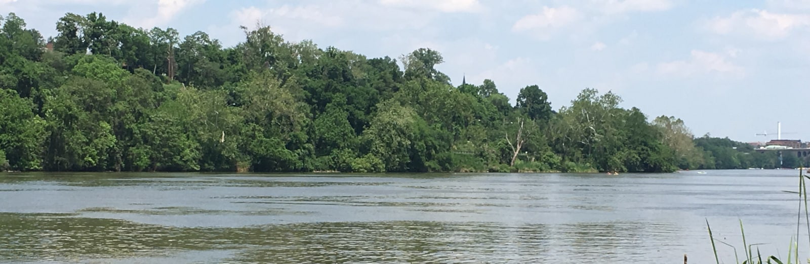 pototmac-river-windy-run-park